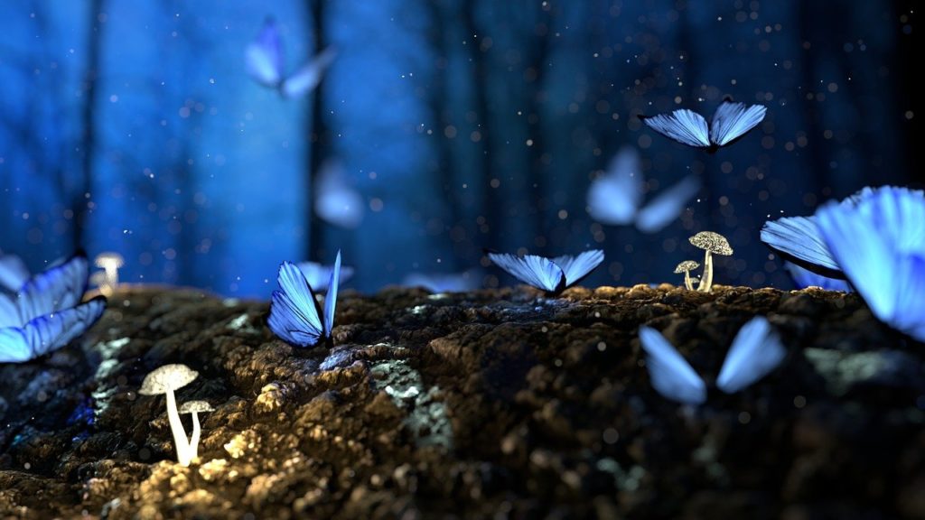 fantasy, butterflies, mushrooms-2049567.jpg